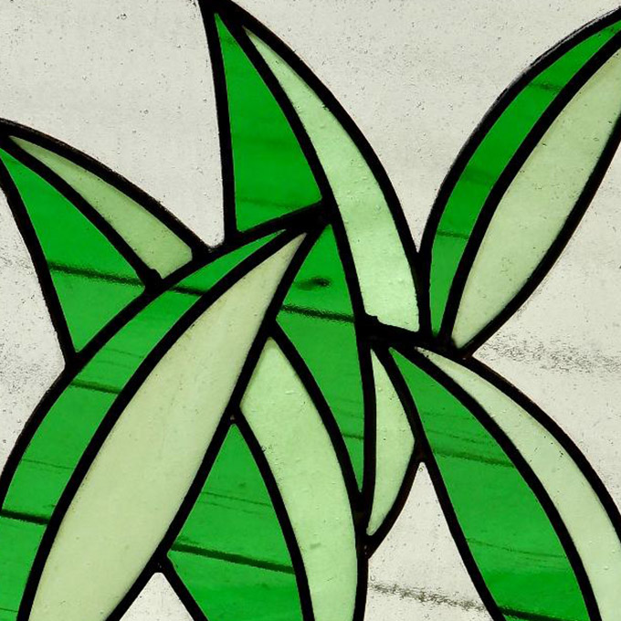 bay leaves